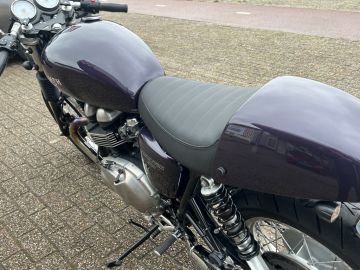 Triumph Thruxton 900